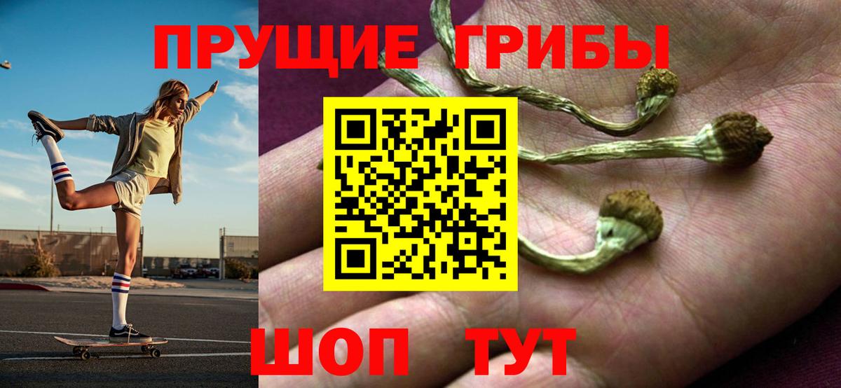 Галлюциногенные грибы мицелий Нижний Новгород