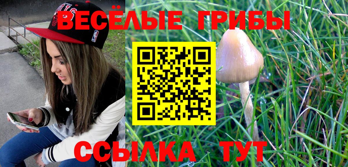 Нижний Новгород  Галлюциногенные грибы Psilocybine cubensis  Вход с VPN 